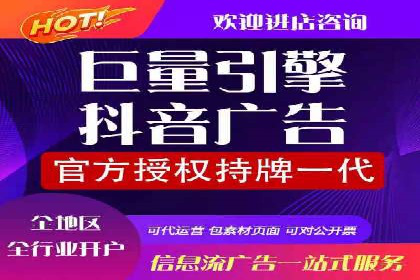 不同平台的SEM广告投放比较及成功案例分析